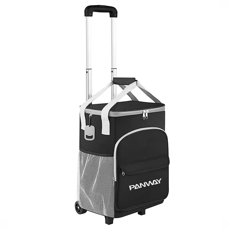 Wheeled cooler bag